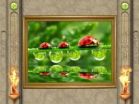 Cкриншот FlipPix Jigsaw - Small World, изображение № 1336380 - RAWG