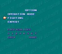Cкриншот Ultimate Fighter, изображение № 763186 - RAWG