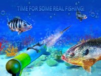 Cкриншот Scuba Fishing: Spearfishing 3D, изображение № 982393 - RAWG