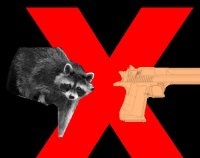 Cкриншот Don't Give the Raccoon The Gun, изображение № 2406778 - RAWG