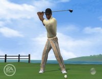 Cкриншот Tiger Woods PGA Tour 06, изображение № 431263 - RAWG