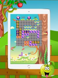 Cкриншот Snakes Slithering In Square Box - The New Tetroid Puzzle Game, изображение № 1612451 - RAWG
