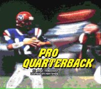 Cкриншот Pro Quarterback, изображение № 760087 - RAWG