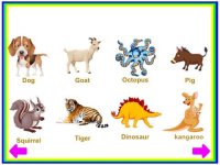 Cкриншот Animals Learn, Identify & Puzzle game for Toddler & Preschool kids, изображение № 985019 - RAWG