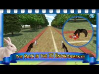 Cкриншот Subway Dog and Angry Rabbit Endless Running Race: Wacky Obstacles and Temple Surfers, изображение № 1716185 - RAWG
