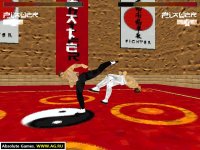 Cкриншот Karate Plus, изображение № 331030 - RAWG