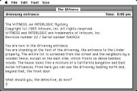 Cкриншот The Witness (1983), изображение № 750668 - RAWG