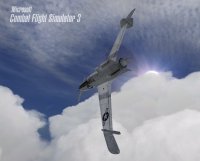Cкриншот Microsoft Combat Flight Simulator 3: Battle for Europe, изображение № 311281 - RAWG