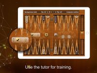 Cкриншот Backgammon Gold PREMIUM, изображение № 2058343 - RAWG