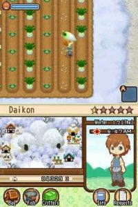Cкриншот Harvest Moon DS: The Tale of Two Towns, изображение № 791753 - RAWG