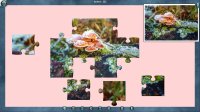 Cкриншот 1001 Jigsaw. Legends of Mystery 4, изображение № 3368128 - RAWG