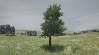 Cкриншот Tree Simulator 2021, изображение № 3631177 - RAWG