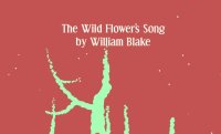 Cкриншот The Wild Flower's Song, изображение № 1071027 - RAWG