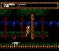 Cкриншот Sword Master (1990), изображение № 738093 - RAWG
