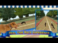 Cкриншот Subway Dog and Angry Rabbit Endless Running Race: Wacky Obstacles and Temple Surfers, изображение № 1716183 - RAWG