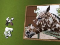 Cкриншот Super Jigsaws Horses, изображение № 1330721 - RAWG