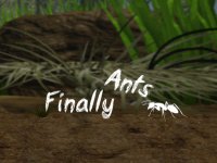 Cкриншот Finally Ants, изображение № 3276755 - RAWG