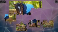 Cкриншот Puzzles for smart: Horses, изображение № 1703054 - RAWG