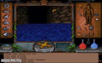 Cкриншот Ultima Underworld: The Stygian Abyss, изображение № 302982 - RAWG