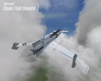 Cкриншот Microsoft Combat Flight Simulator 3: Battle for Europe, изображение № 311240 - RAWG