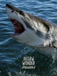 Cкриншот Shark Puzzles for Kids Jigsaw Wonder Collection, изображение № 1855183 - RAWG