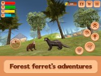 Cкриншот Ferret Forest Life Simulator, изображение № 2165008 - RAWG