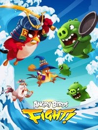 Cкриншот Angry Birds Fight! RPG Puzzle, изображение № 55008 - RAWG