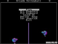 Cкриншот Arcade Volleyball, изображение № 304202 - RAWG