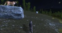 Cкриншот WolfQuest: Classic, изображение № 3589941 - RAWG
