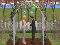 Cкриншот The Sims 2, изображение № 375941 - RAWG