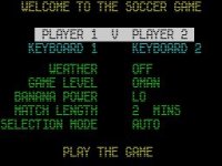 Cкриншот Microprose Soccer, изображение № 749176 - RAWG