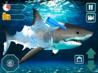 Cкриншот My Hungry Survival Shark Game, изображение № 2746934 - RAWG