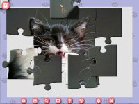 Cкриншот 1001 Jigsaw. Cute Cats 4, изображение № 3524666 - RAWG