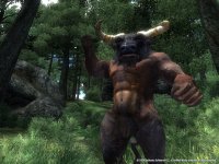 Cкриншот The Elder Scrolls IV: Oblivion Game of the Year Edition, изображение № 138546 - RAWG