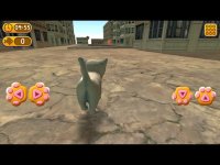 Cкриншот Cat In City Go Simulator, изображение № 2035797 - RAWG