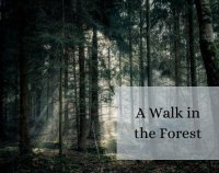 Cкриншот A Walk in the Forest, изображение № 2229993 - RAWG