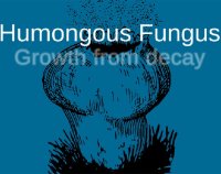 Cкриншот Humongous Fungus, изображение № 2449079 - RAWG