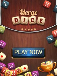 Cкриншот Merge Dice - Puzzle Game 5x5, изображение № 2408814 - RAWG