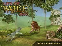 Cкриншот Life Of Wolf Simulator: Hunt Feed and Grow wolves, изображение № 1780007 - RAWG