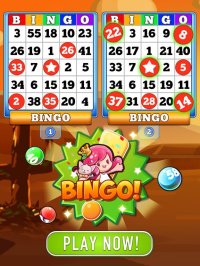 Cкриншот Bingo Heaven!, изображение № 896332 - RAWG