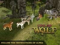 Cкриншот Life Of Wolf Simulator: Hunt Feed and Grow wolves, изображение № 1780006 - RAWG