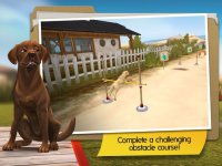 Cкриншот DogHotel: My Dog Boarding Kennel, изображение № 870181 - RAWG