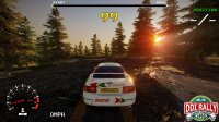 Cкриншот DDI Rally Championship, изображение № 3658400 - RAWG