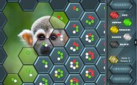 Cкриншот HexLogic - Zoo, изображение № 1529540 - RAWG