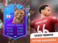 Cкриншот FUT Card Creator, изображение № 3429584 - RAWG