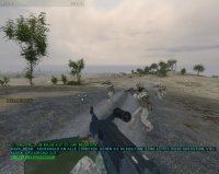 Cкриншот Arma: Armed Assault, изображение № 430668 - RAWG