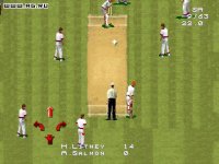 Cкриншот Cricket '96, изображение № 304647 - RAWG