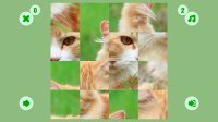 Cкриншот Cat puzzle, изображение № 1732943 - RAWG