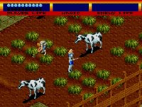 Cкриншот SEGA Mega Drive Classic Collection Volume 4, изображение № 571860 - RAWG