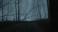 Cкриншот Dead Forest, изображение № 698360 - RAWG